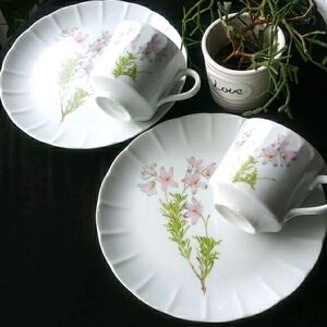 Vintage The Toscany Collection Vintage Japan Cups